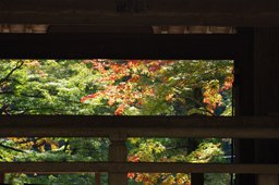  大窪寺　高画質画像2