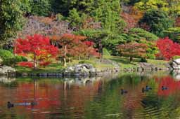 栗林公園　紅葉　高画質画像30