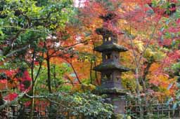 栗林公園　紅葉　高画質画像33