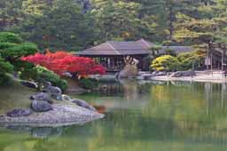 栗林公園　紅葉　高画質画像37