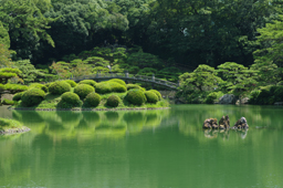 栗林公園　高画質画像5