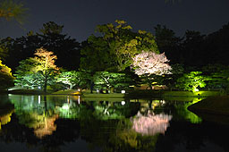 栗林公園　紅葉　高画質画像58