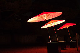 栗林公園　紅葉　高画質画像61