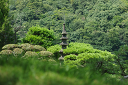 栗林公園　高画質画像8