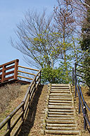 讃岐まんのう公園11