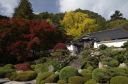 本坊から見た紅葉